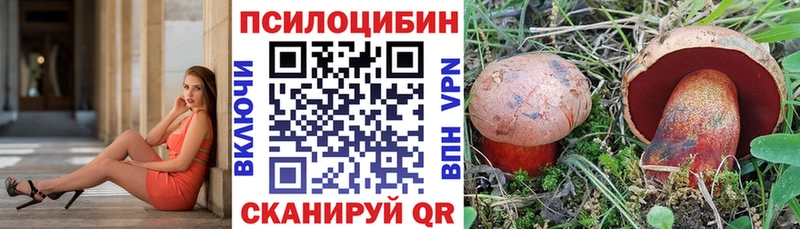 МЕГА вход  Георгиевск  Псилоцибиновые грибы мухоморы 